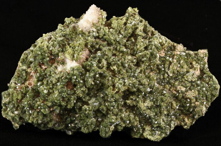 Lustrous, Epidote Crystal Cluster - Morocco #40882